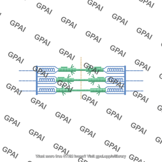 Sarcomere editable