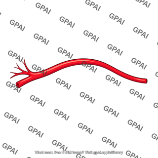 Blood artery