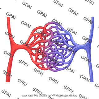 Capillary bed ateriorvenous malformation
