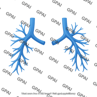 Pulmonary arteries 697