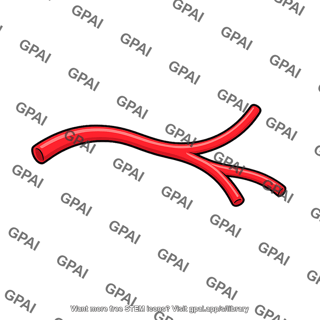 Branching blood vessel