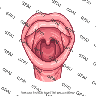 Throat