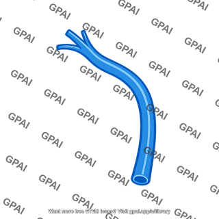 Branched vein
