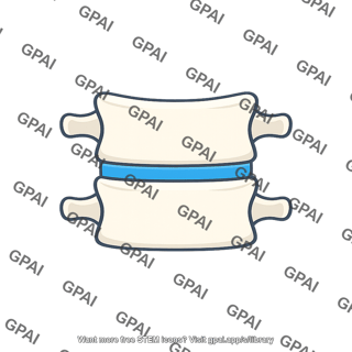Vertebral disc space