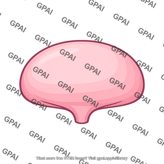 Bladder dome