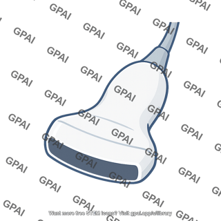 Ultrasound probe transabdominal