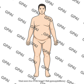 Adult 3 male stage i obesity anterior