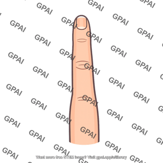 Index finger