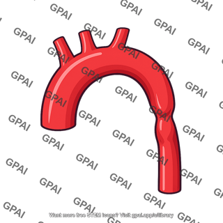 Aortic arch narrowed