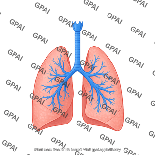 Lungs icon