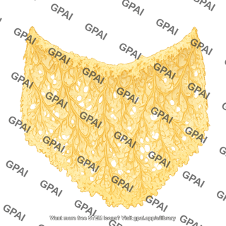 Omentum greater