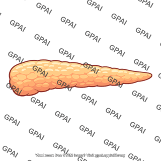 Pancreas body