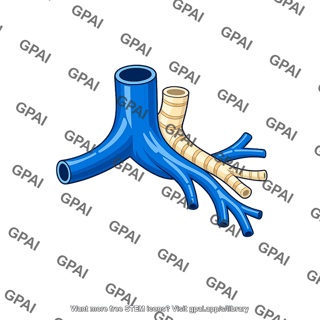 Intrapulmonary pulmonary artery