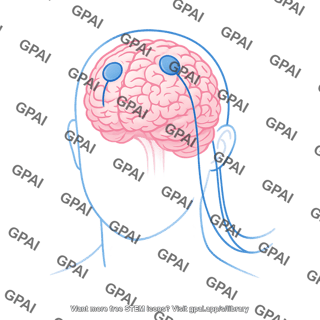 Human brain surface detector brain computer interface 640