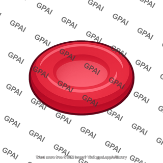 Red blood cell