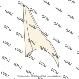 Falciform ligament