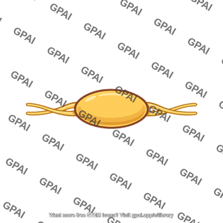 Paravertebral ganglion