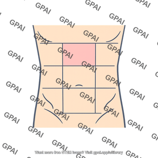 Epigastric region