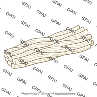 Connective tissue fiber
