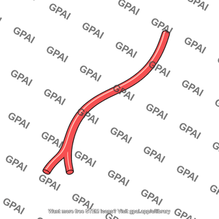 Colic branch