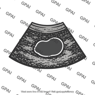 Ultrasound scan