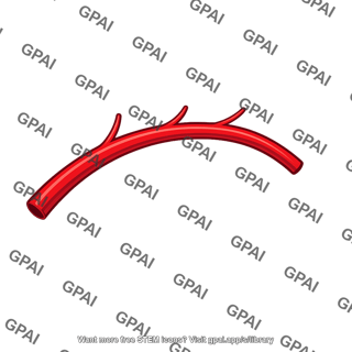 Branched artery