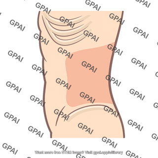 Right flank