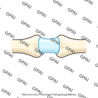 Cartilaginous joint