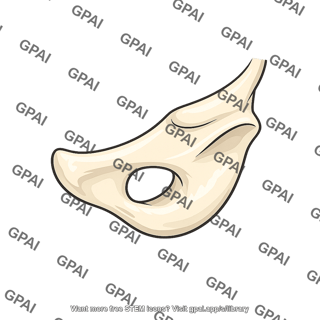 Stylized bone fragment