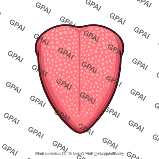 Body of tongue
