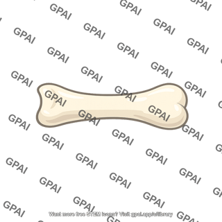 Cartoon bone