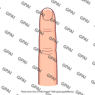 Finger dorsal view