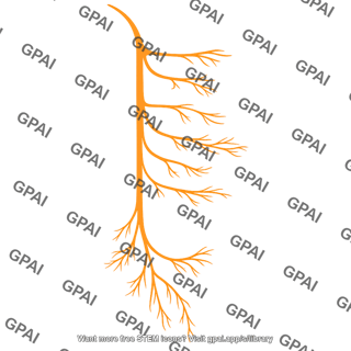 Vagus nerve 2