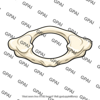 Atlas ring shaped