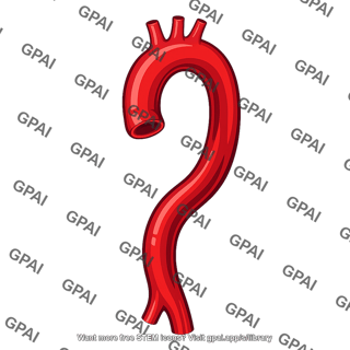 Aorta