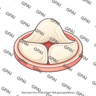 Dumpling on plate