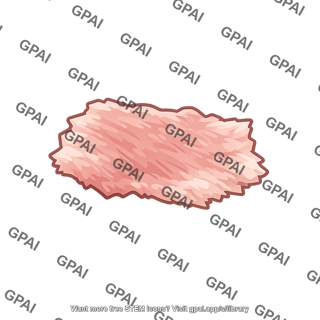 Biopsy