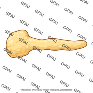 Pancreas