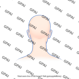 Gender neutral adult head posterior hairless