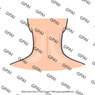 Neck posterior