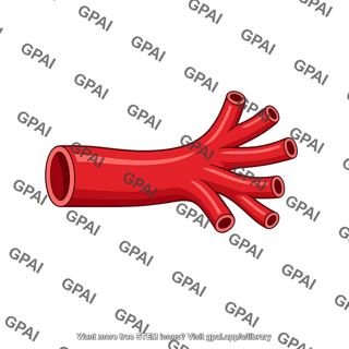 Branching blood vessel