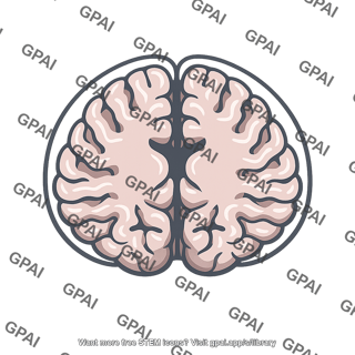 Human brain