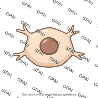 Neuronal cell body