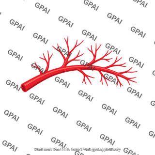 Branching artery