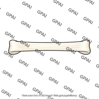 Long bone