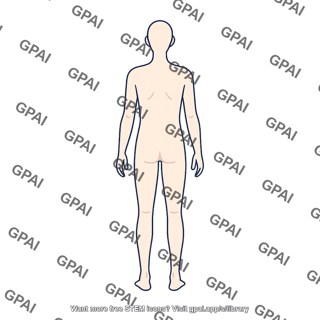 Gender neutral adult hairless posterior