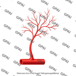 Vessel growth normal regression