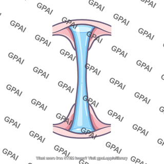 Cerebral aqueduct