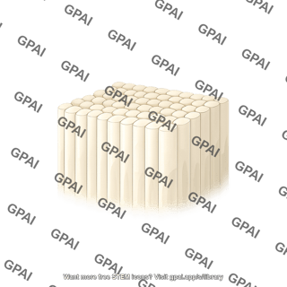 Outer enamel