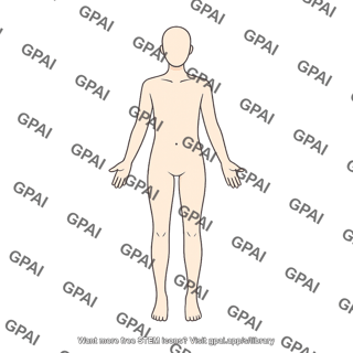 Adult 4 gender neutral anterior